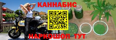 индика Можга