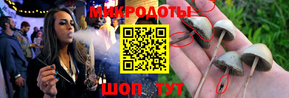 Елизово  Псилоцибиновые грибы мухоморы  Вход с VPN 